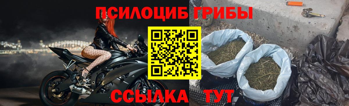 Псилоцибиновые грибы Cubensis  Вход с VPN  Мурманск  Псилоцибиновые грибы ЛСД 